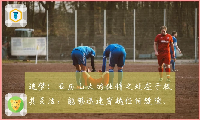 追梦：亚历山大的独特之处在于极其灵活，能够迅速穿越任何缝隙。